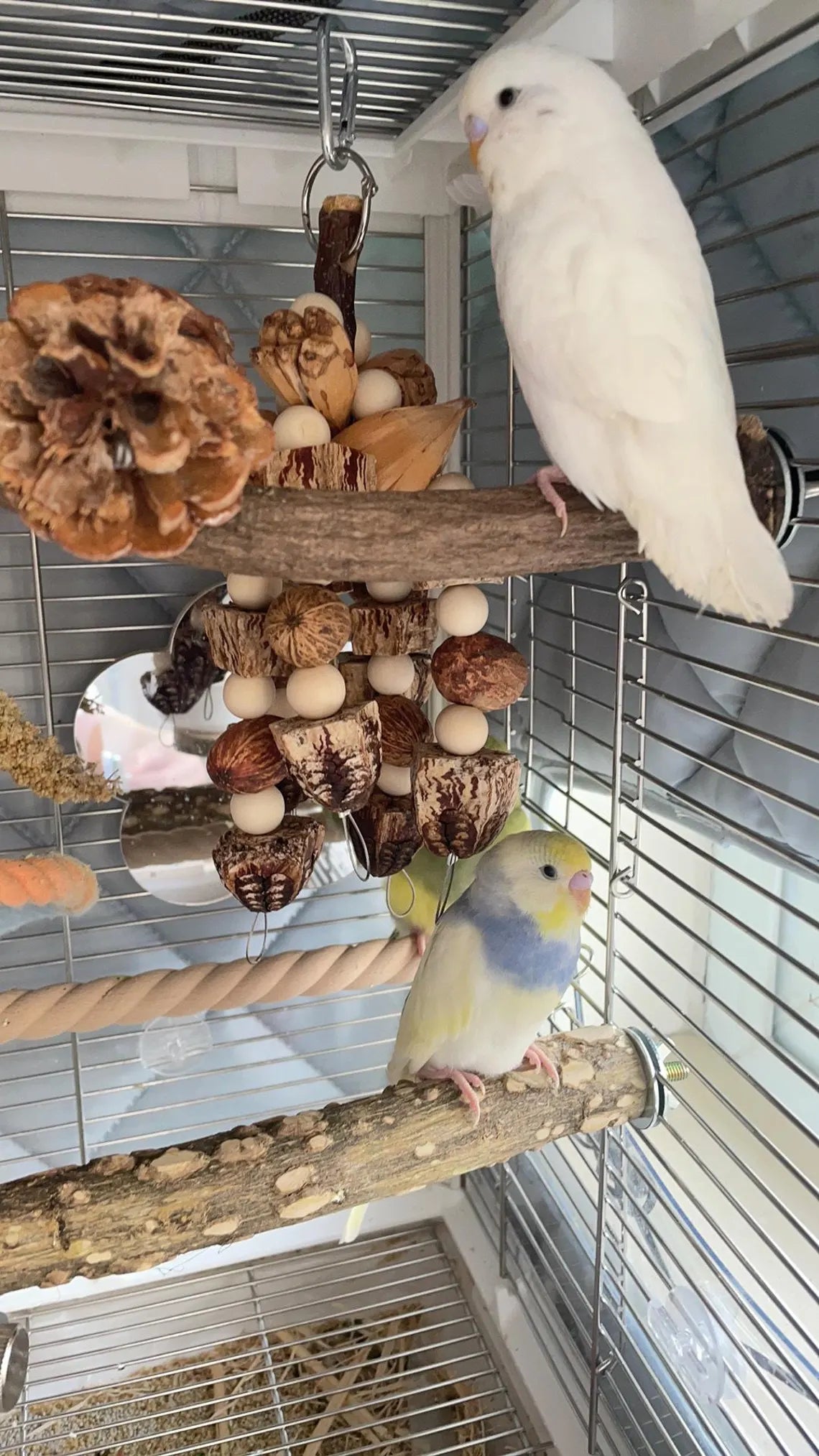 Juguete Colgante Multipeza para Masticar, Diversión Enriquecedora para Aves Pequeñas y Medianas dentro de Jaulas