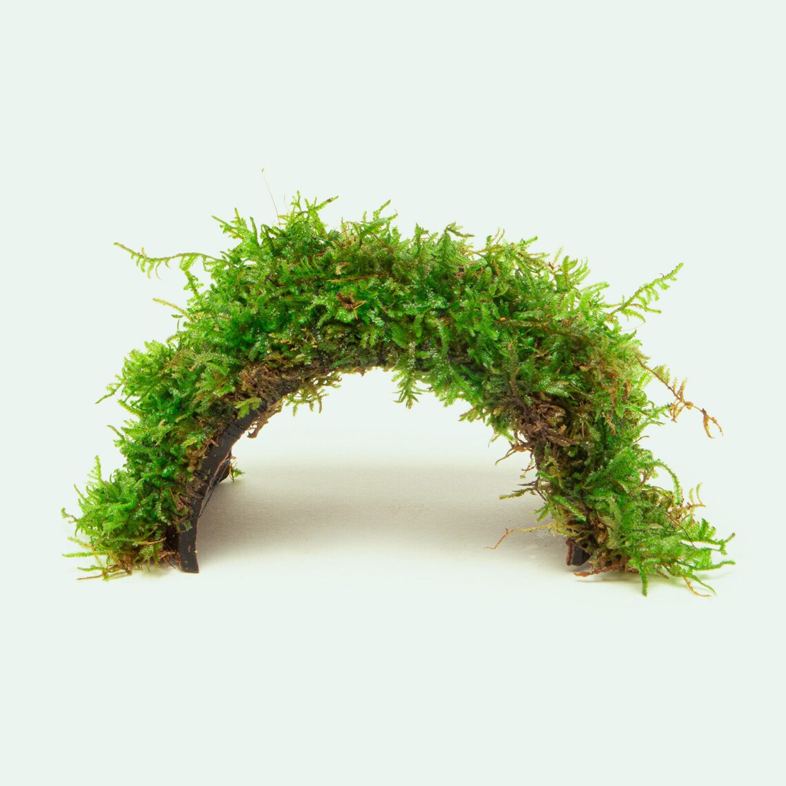 Arco Vegetal Vivo en Forma de Puente Refugio Decorativo para Tanques de Peces Pequeños de Agua Dulce Decoración Del Acuario