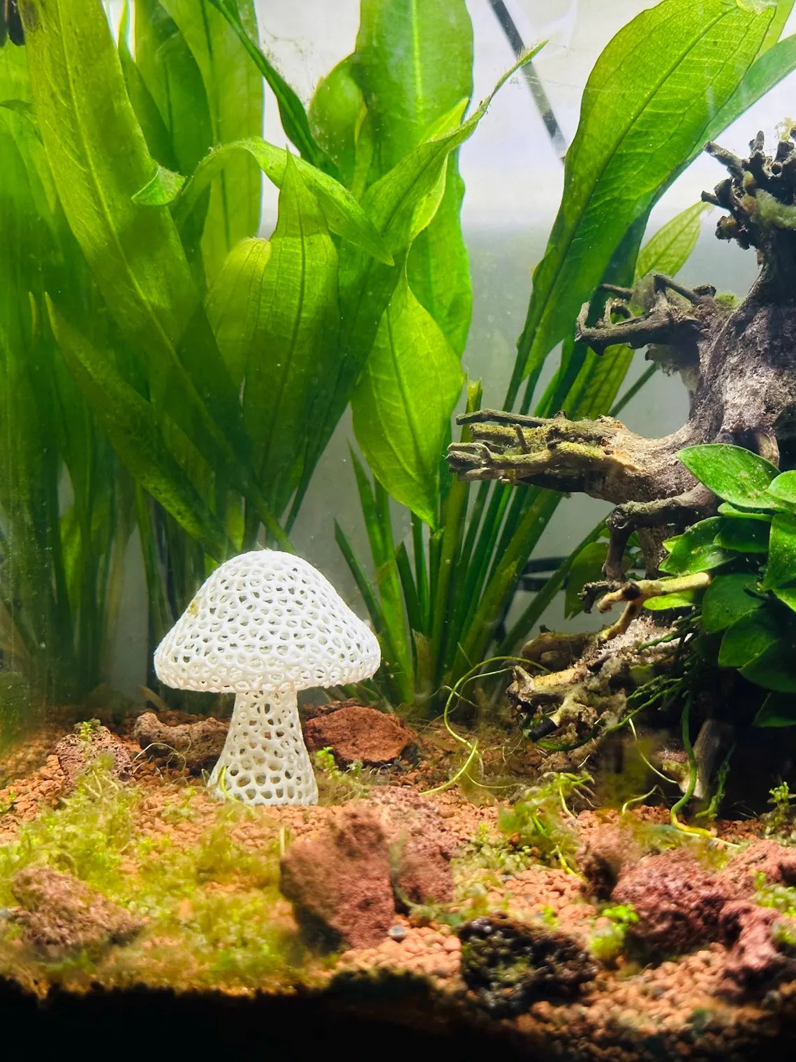 Refugio en Forma de Hongo Rejillado con Múltiples Aberturas para Camarones y Peces Pequeños en Acuarios Decoración Del Acuario