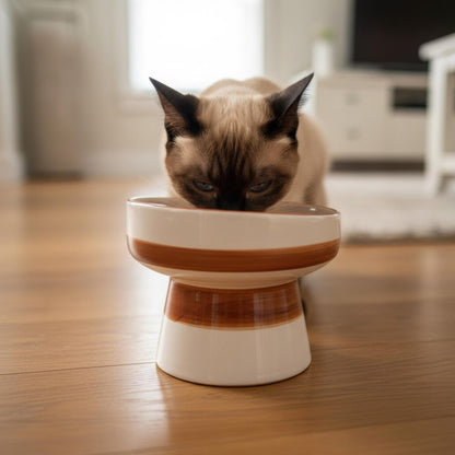 Recipiente Elevado Amplio para Alimentación de Felinos con Diseño Decorativo Adaptado a Bigotes