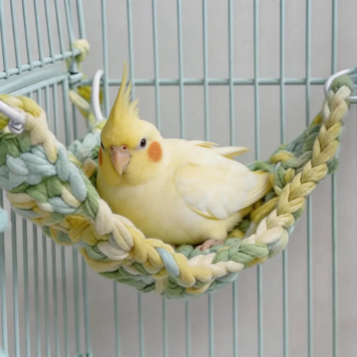 Hamaca Colgante Tejida para Aves Pequeñas con Anillos de Fijación para Zonas de Descanso en Jaulas