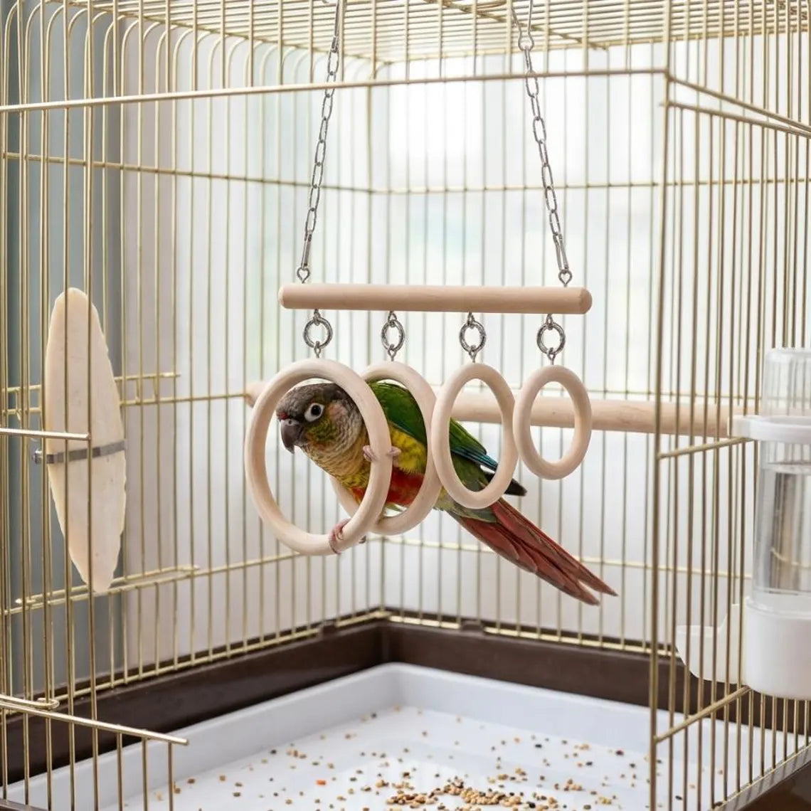 Columpio Suspendido con Barra y Cuatro Aros Circulares, Recorrido de Juego para Aves Pequeñas en Jaulas