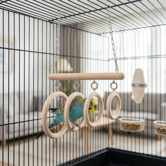 Columpio Suspendido con Barra y Cuatro Aros Circulares, Recorrido de Juego para Aves Pequeñas en Jaulas